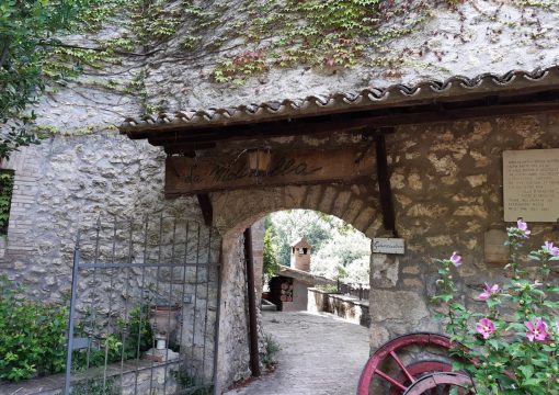 Il parco e la piscina